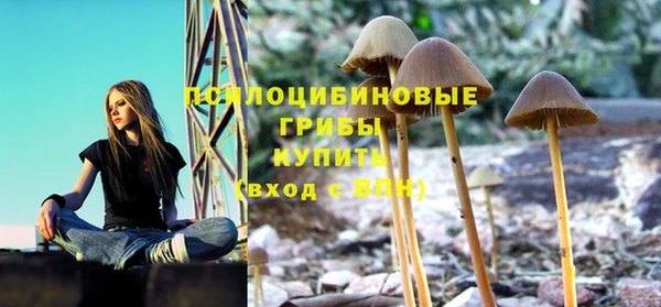 марки nbome Абаза