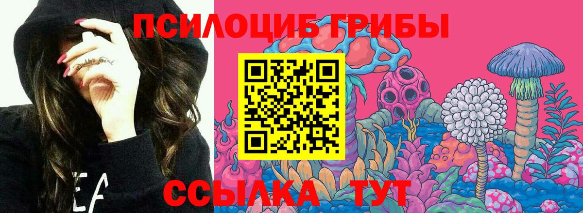 Галлюциногенные грибы Psilocybe  Вход с VPN  Советская Гавань 